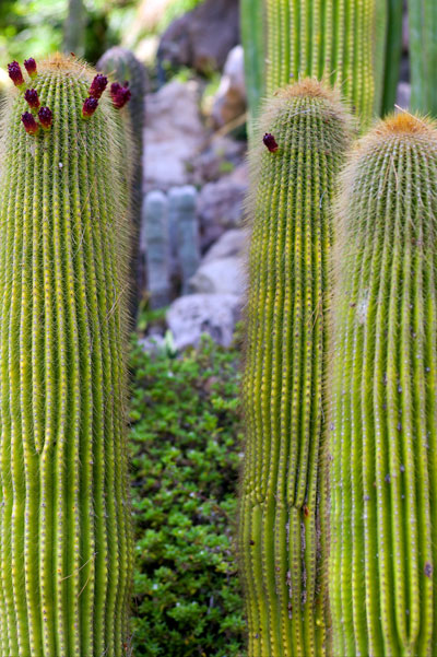 F.E.V. On aime la nature!