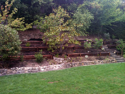 F.E.V. On aime la nature!