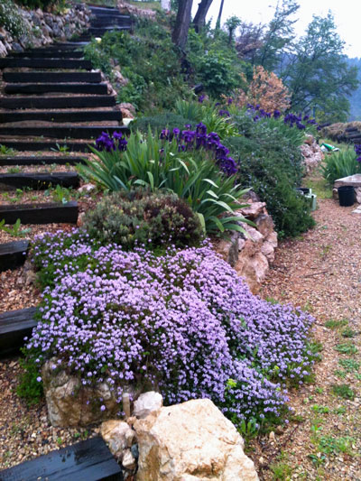 F.E.V. On aime la nature!