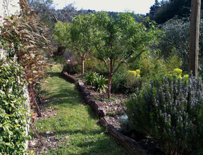 F.E.V. On aime la nature!