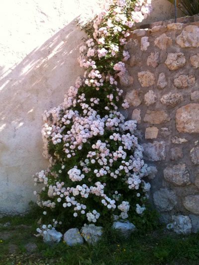 F.E.V. On aime la nature!