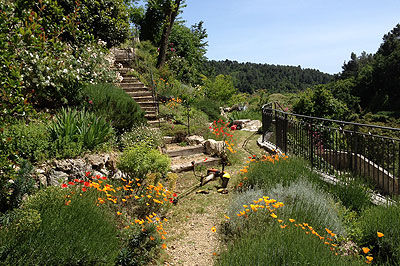 F.E.V. On aime la nature!